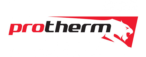 Ремонт котлов Protherm